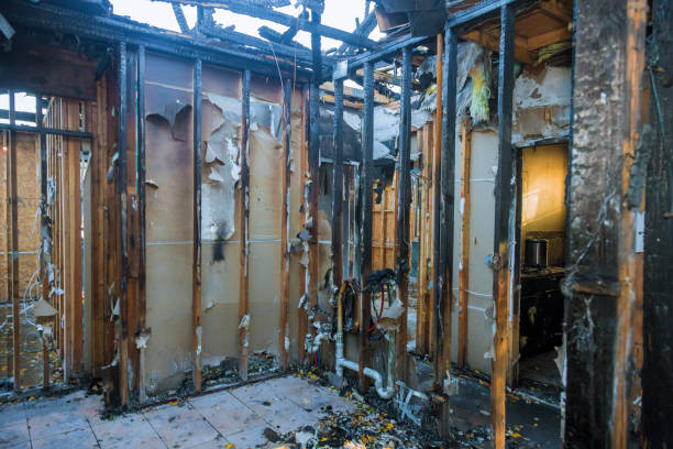 Professional Fire Damage Assessment technician working in Valrico, FL