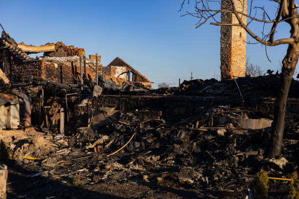 Reliable Fire Damage Assessment contractor in Valrico, FL by Fire Damage Doption