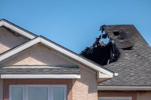Top rated local Fire Damage Assessment specialists in Valrico, FL